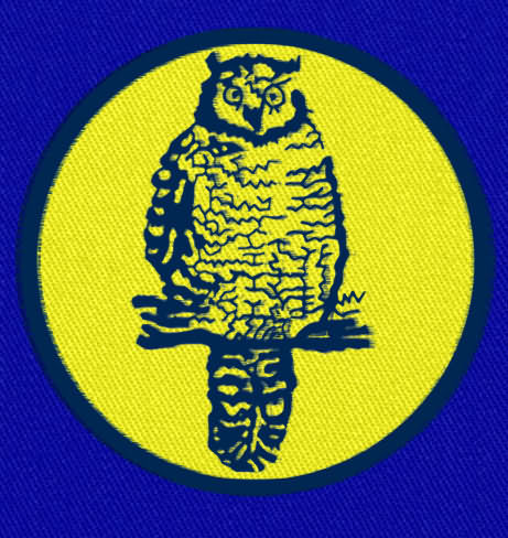 the away version of the sixties leeds owl badge